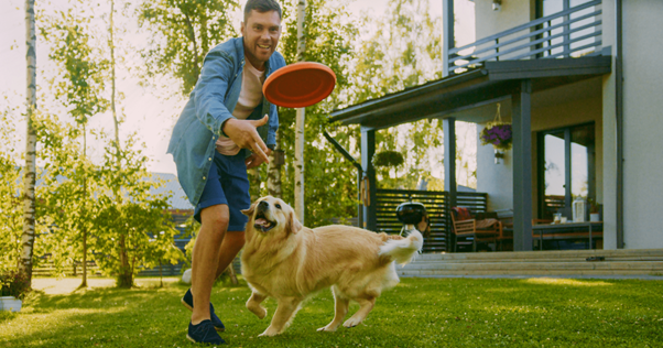 Un chien jouant au frisbee dans le jardin avec son maître.