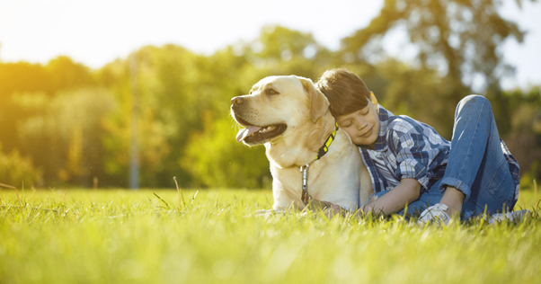 Un enfant faisant un câlin à un chien dans l'herbe.